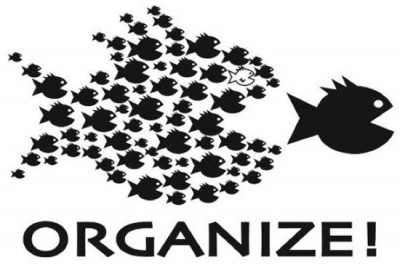organize
