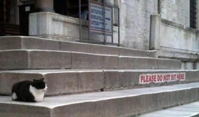 309934_419238174823580_1725613158_n